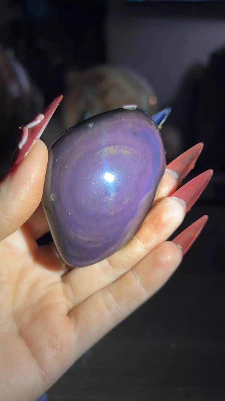 plant/Rainbow Obsidian Freeform-0