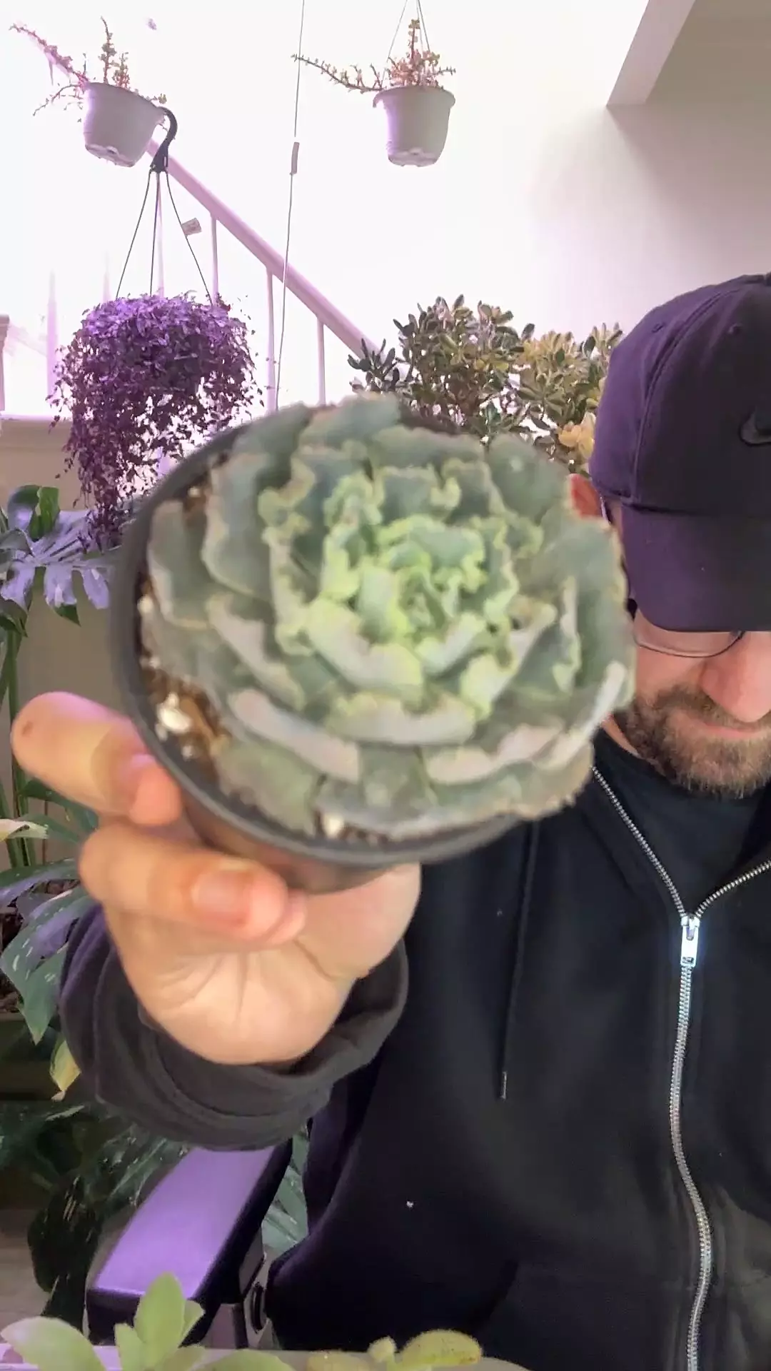 plant/Ecovaria Truffles-0