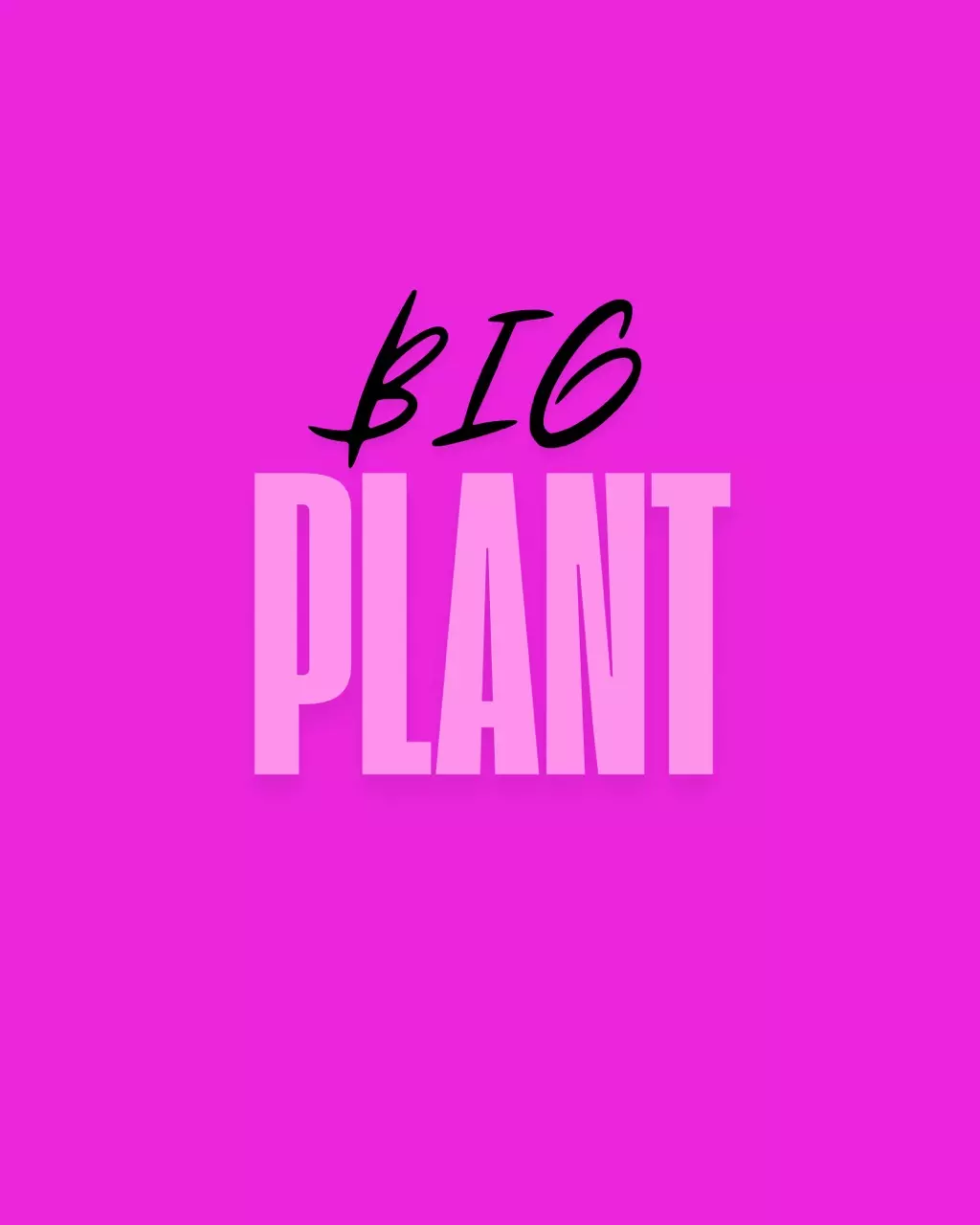 plant/Large plant/Hawaii Shipping Upgrade-0