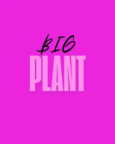 plant/Large plant/Hawaii Shipping Upgrade-0-thumbnail