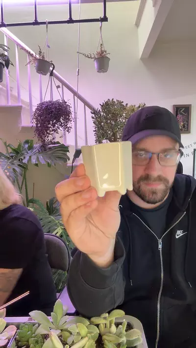 plant/Tan pot-0-thumbnail