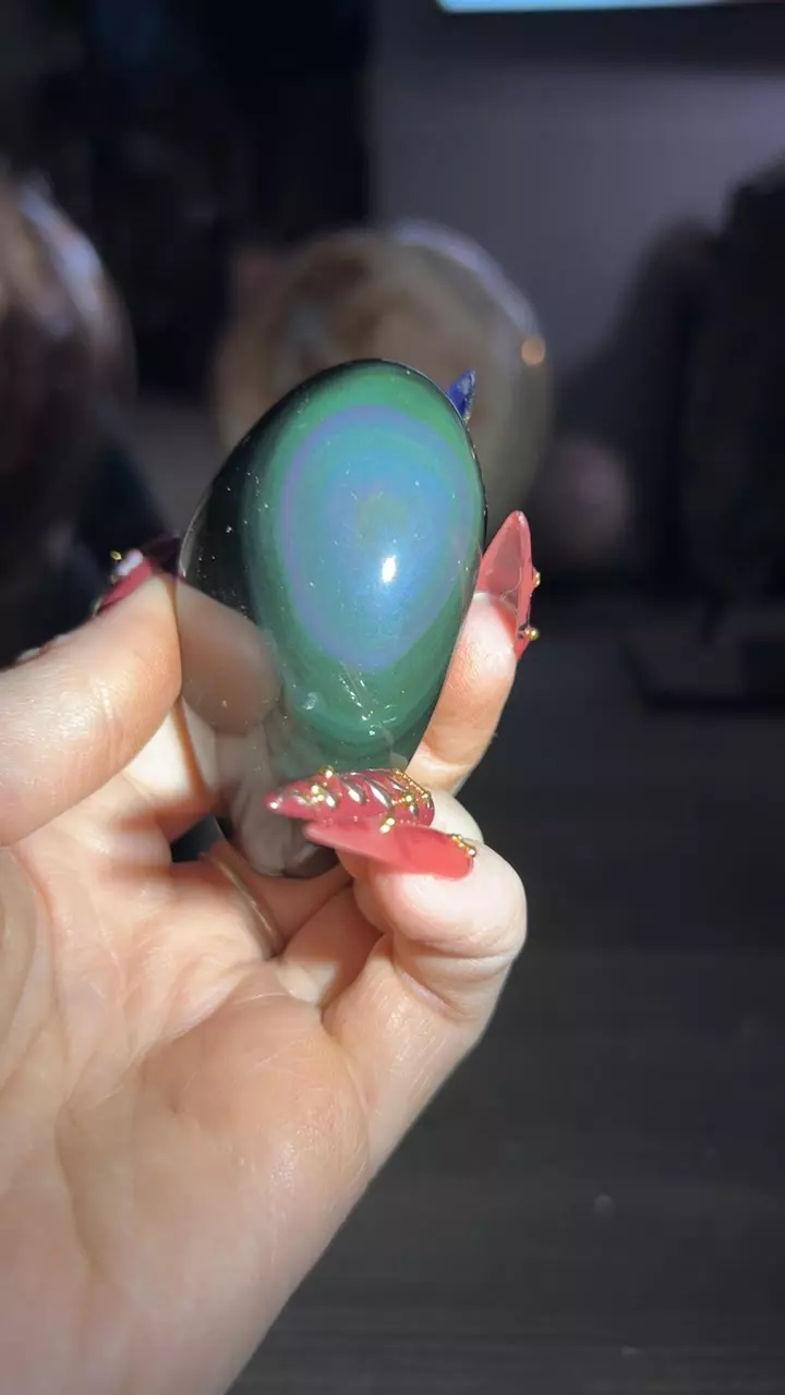 plant/Rainbow Obsidian Freeform-0