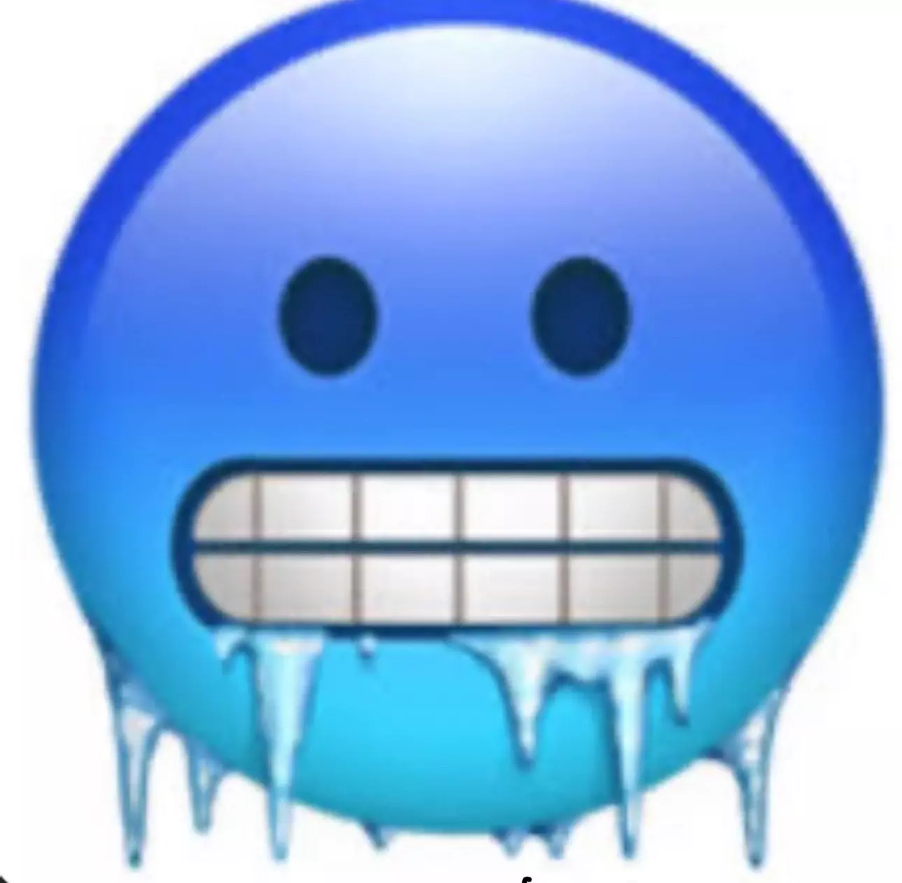 plant/Winterized Box-0