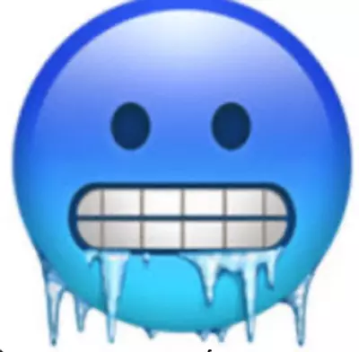 plant/Winterized Box-0-thumbnail