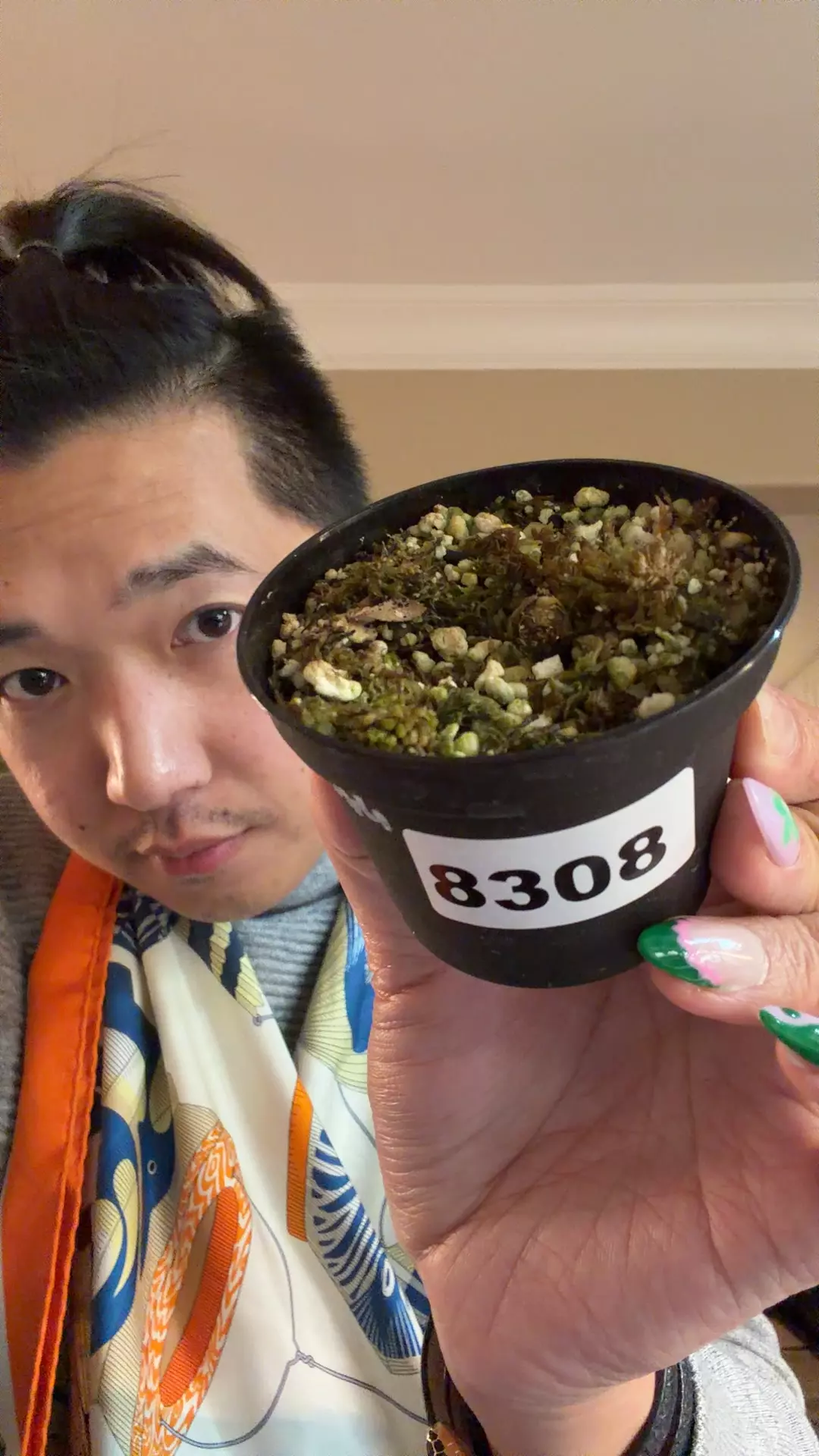 plant/8308 var pap x Carla rooted activated-0