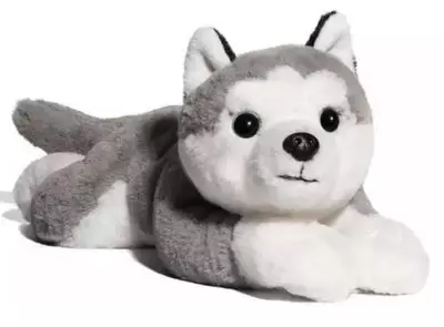 plant/Adopt a Pet-1-thumbnail