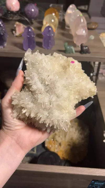 plant/Petroleum Included Quartz from Inner Mongolia-0-thumbnail