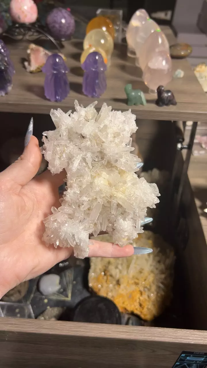 plant/Quartz Cluster from Inner Mongolia-0