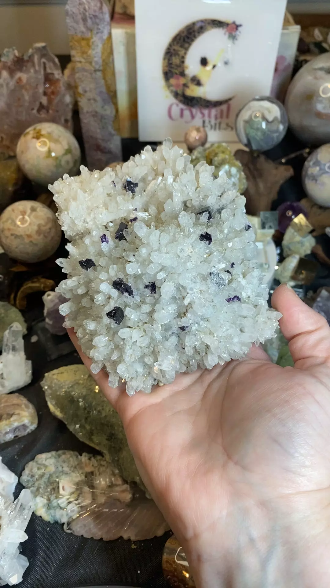 plant/purple cubic fluorite on quartz-0