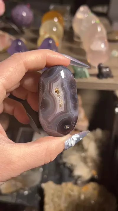 plant/Swazi Agate Palm-0-thumbnail