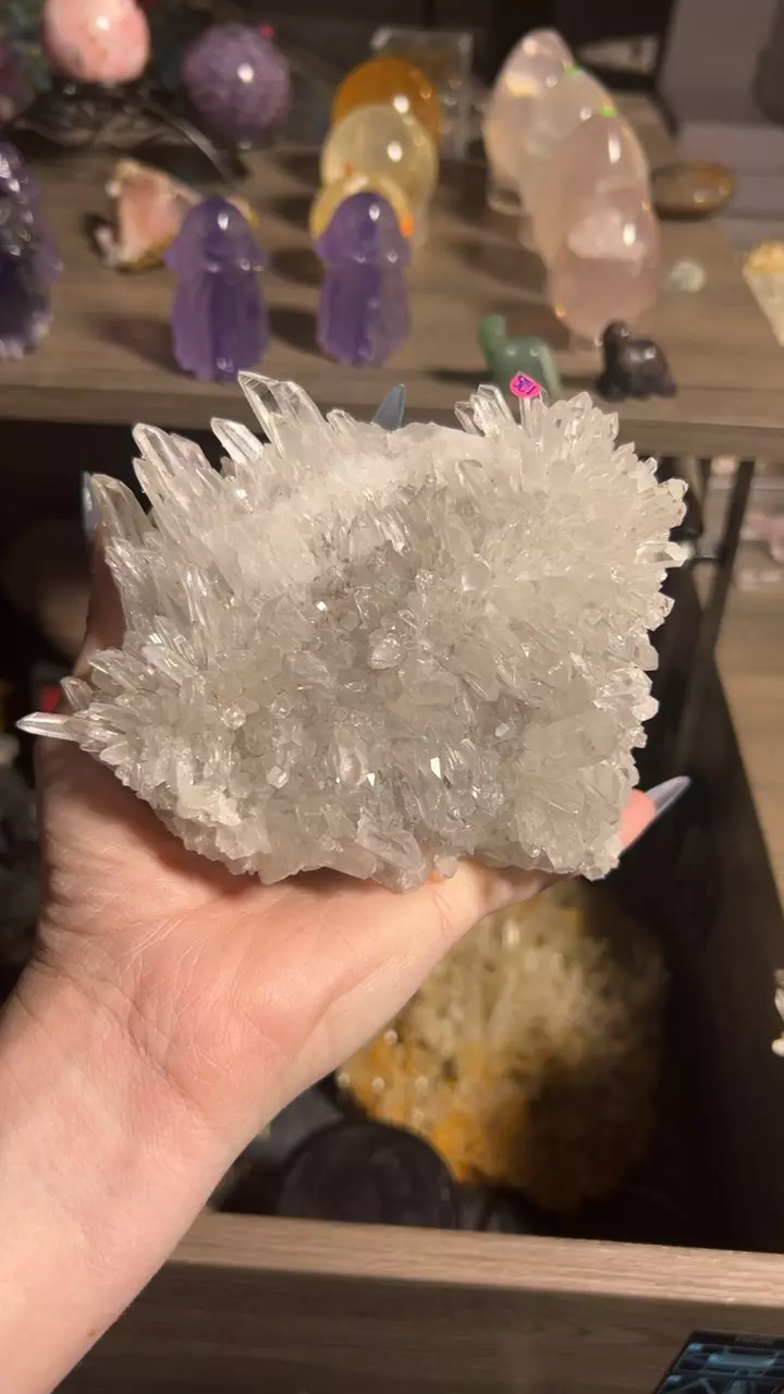 plant/Quartz Cluster from Inner Mongolia-0