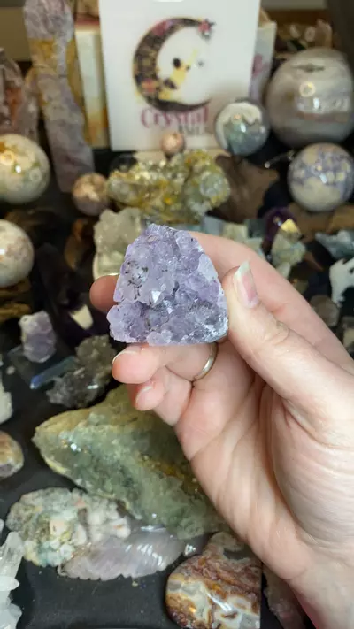 plant/amethyst geode-0-thumbnail