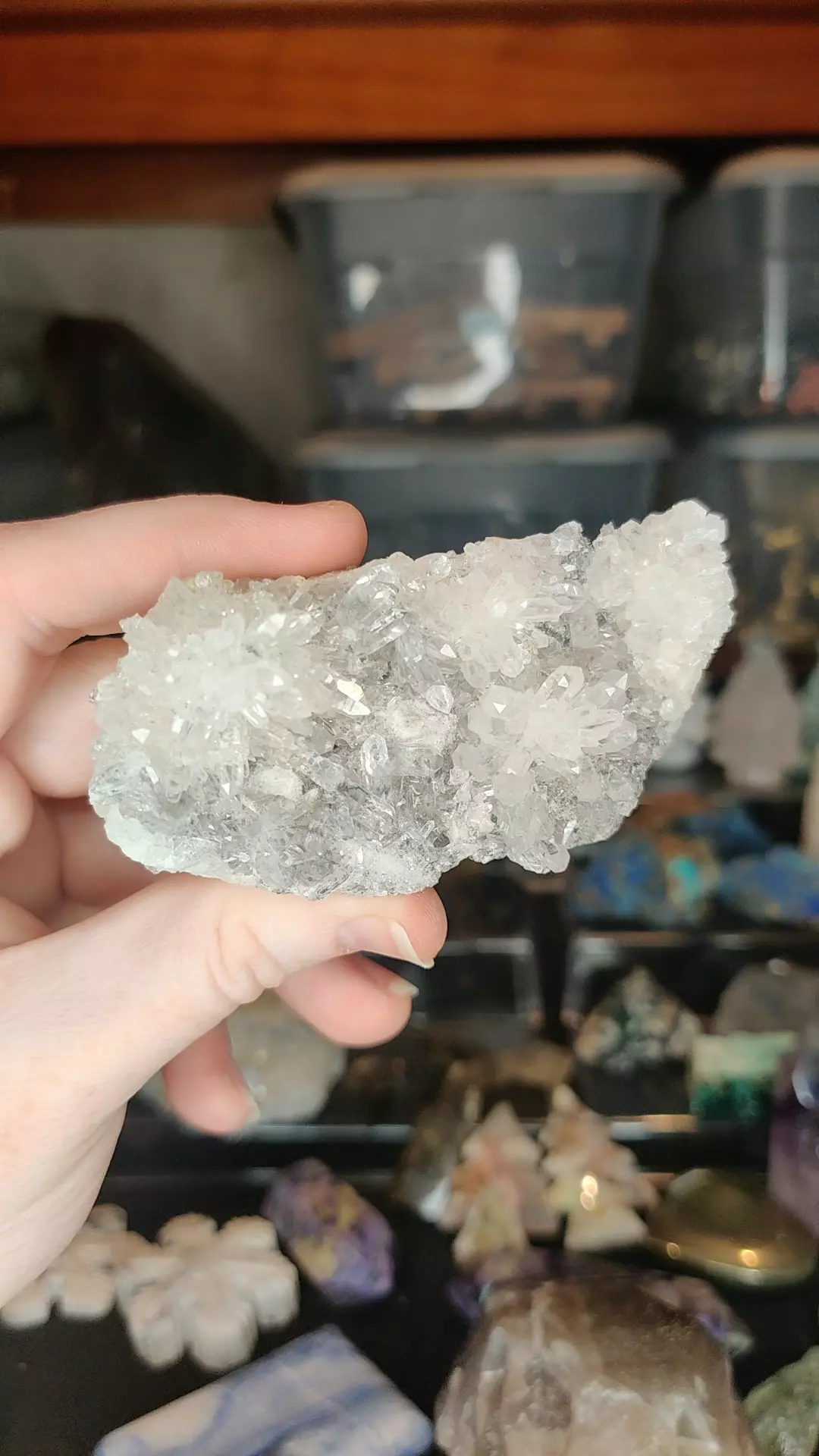 plant/Clear Quartz Flower Specimen with UV Reaction-0