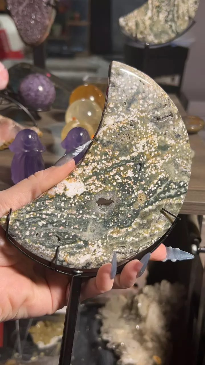 plant/OJ Moon Carving with Stand-0