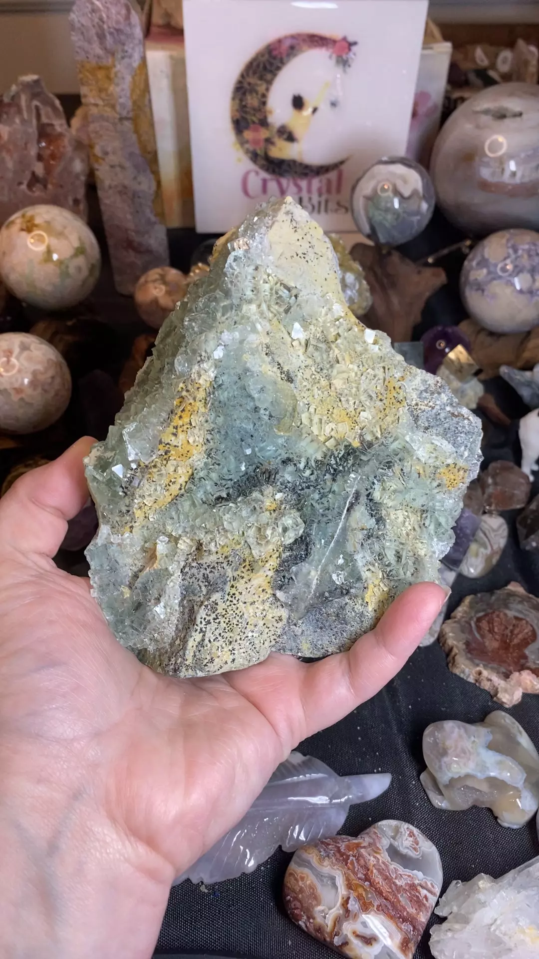 plant/XHL Fluorite (dendritic on matrix) from Fujian, China-0