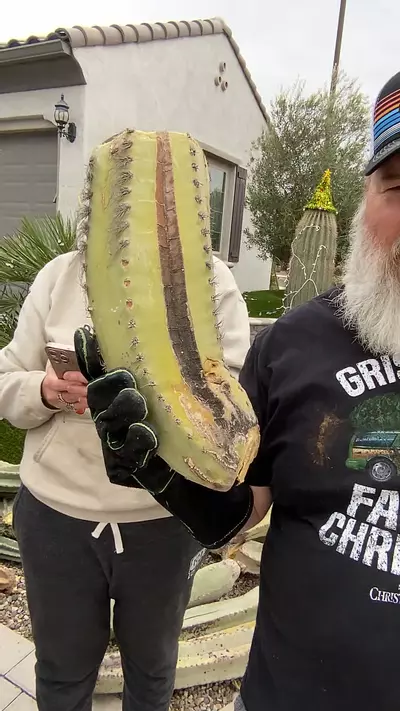 plant/woolly rhino mid cutting 14”-0-thumbnail