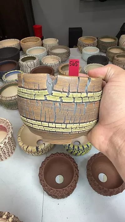 plant/565-0-thumbnail