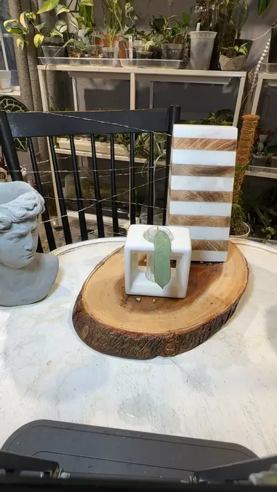 plant/Pandurata Silver-0-thumbnail