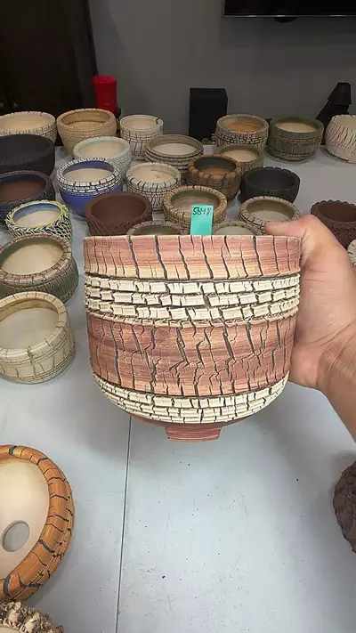 plant/5048-0-thumbnail