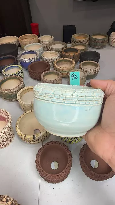 plant/96-0-thumbnail