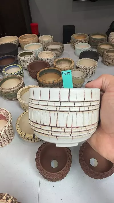 plant/5049-0-thumbnail