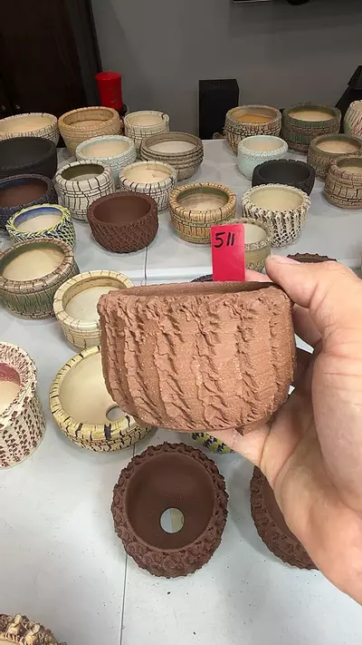 plant/511-0-thumbnail