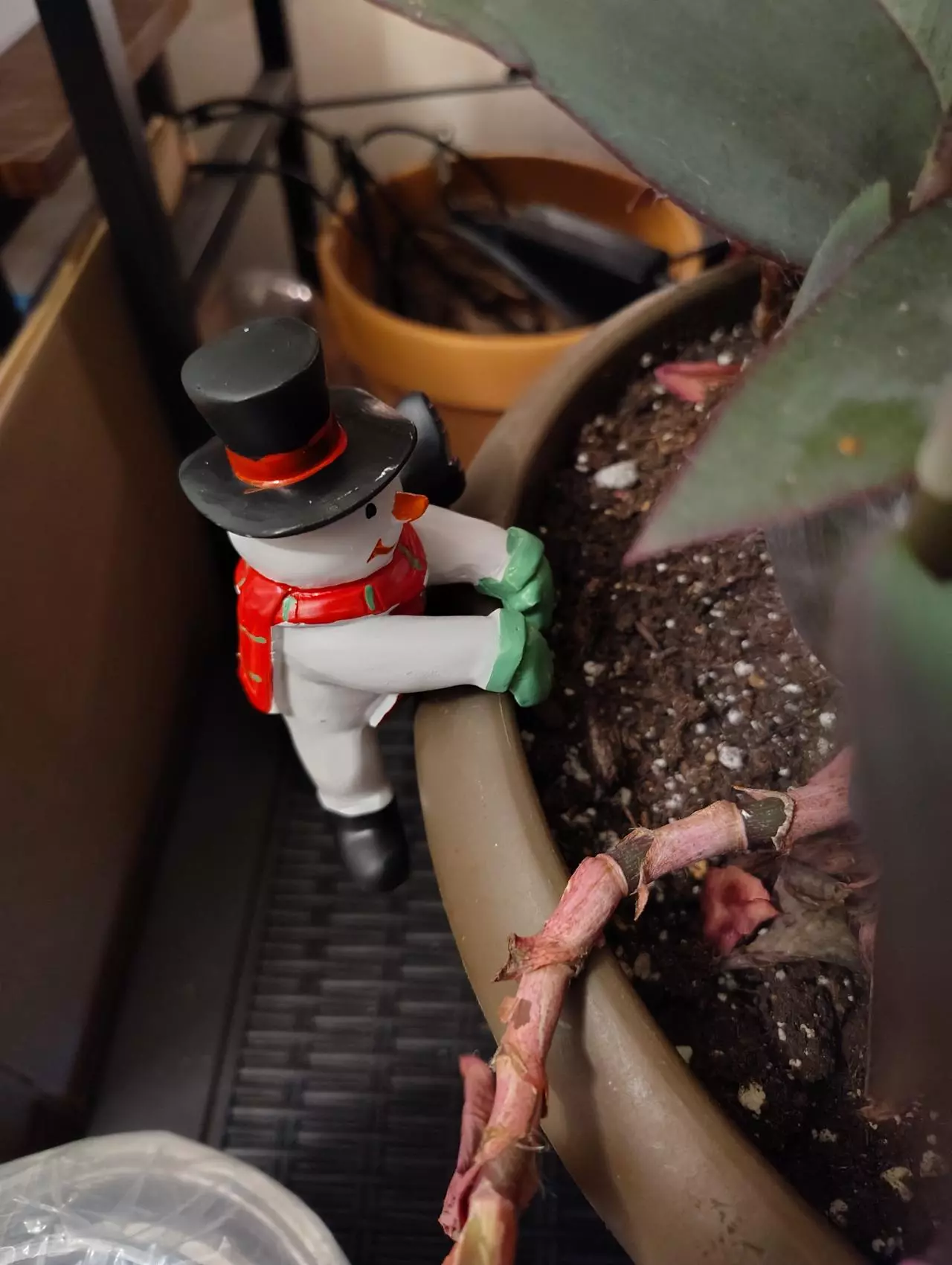 plant/Snowman Pot Pal-0