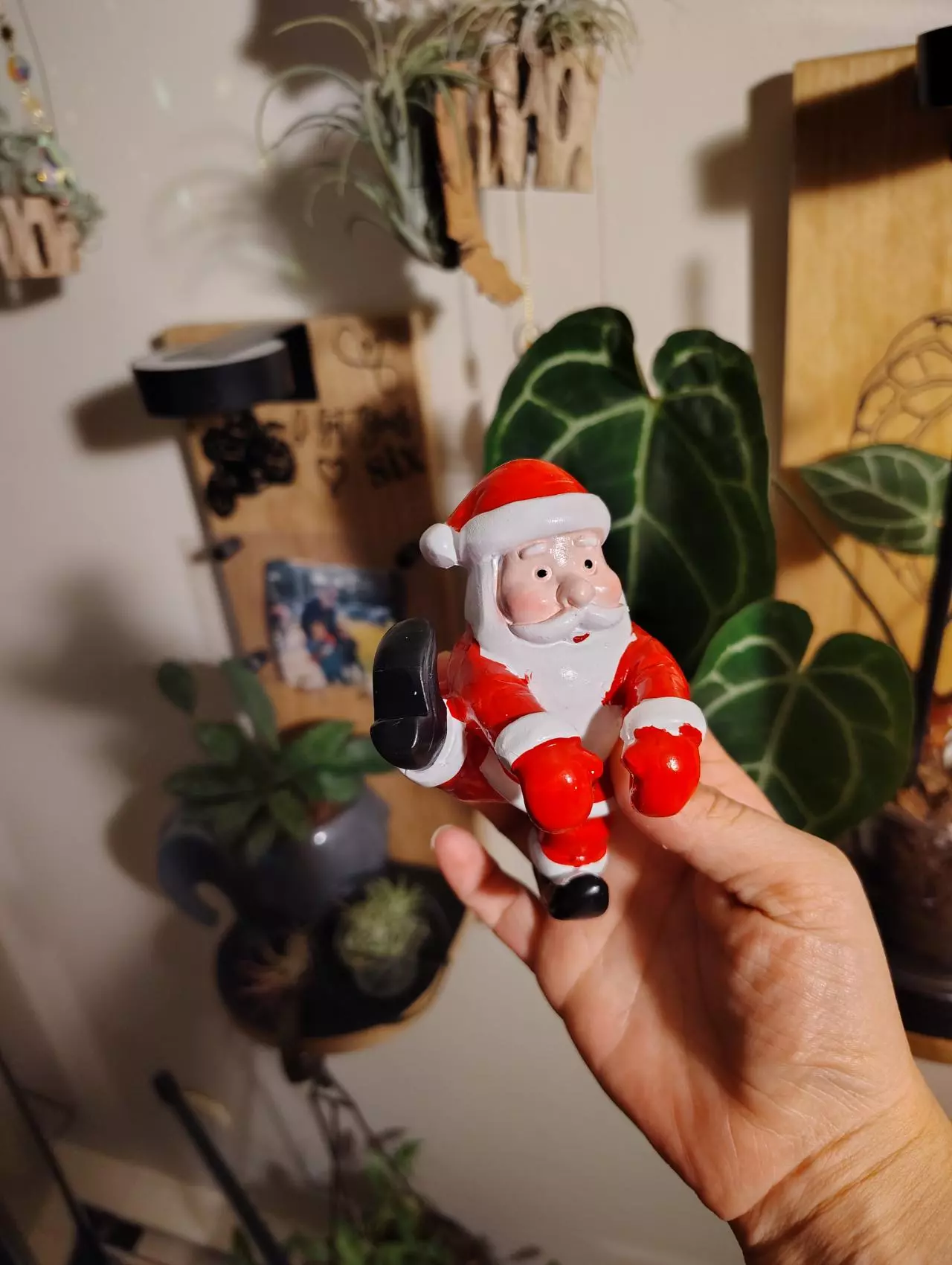 plant/Santa Claus Pot Pal!-1