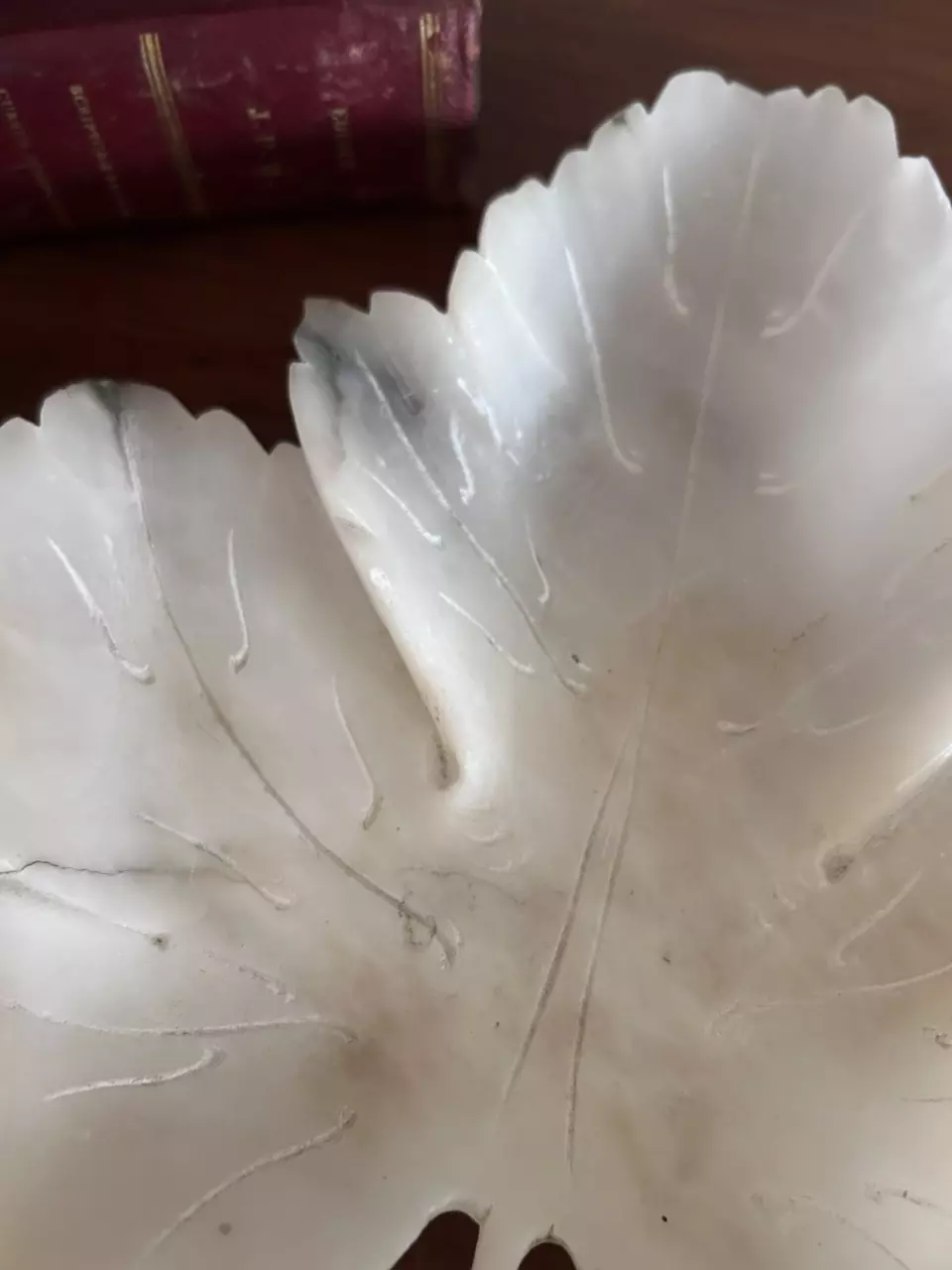 plant/Large Alabaster Leaf-1