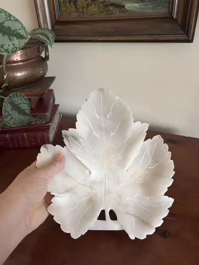 plant/Large Alabaster Leaf-2-thumbnail