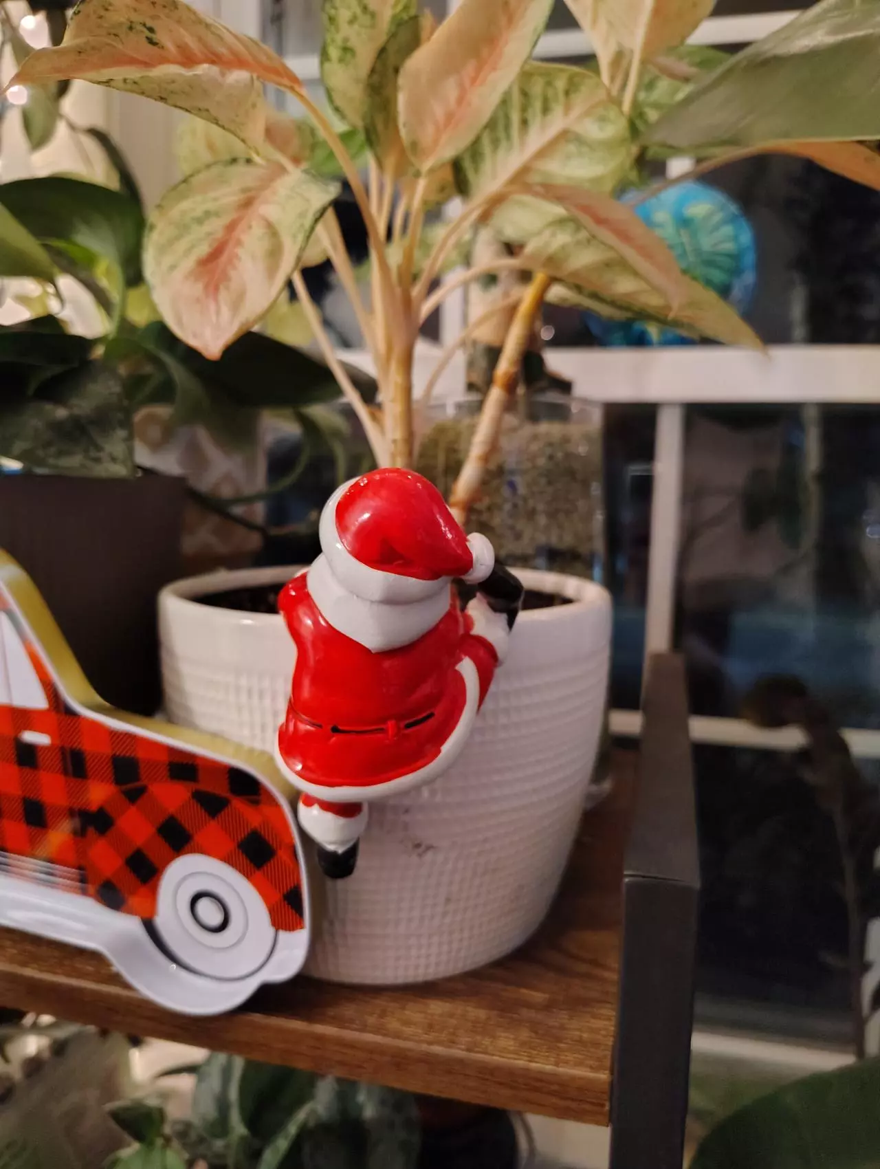 plant/Santa Claus Pot Pal!-0