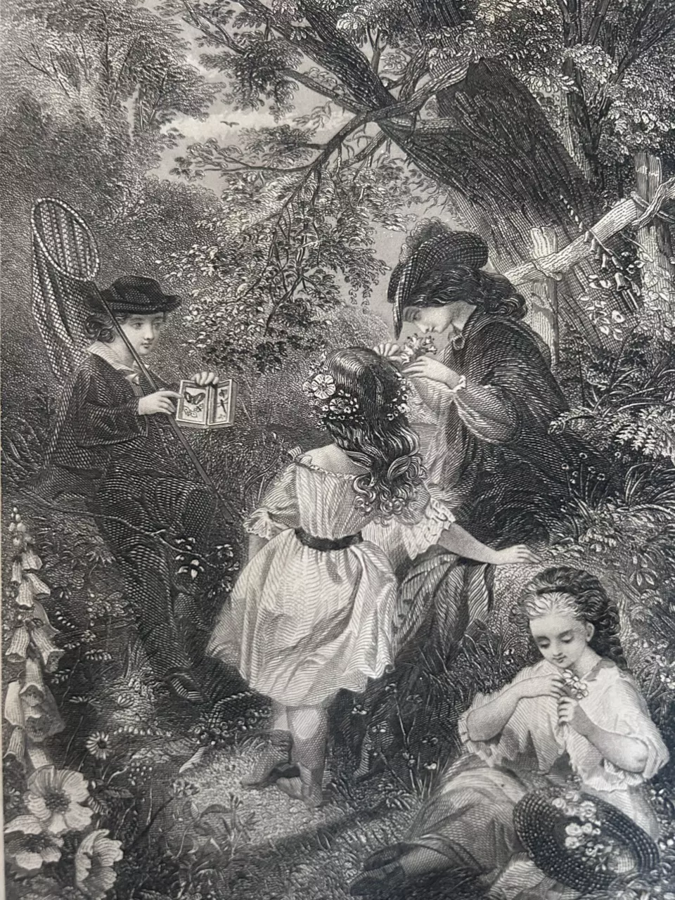 plant/Happy Days of Childhood-1