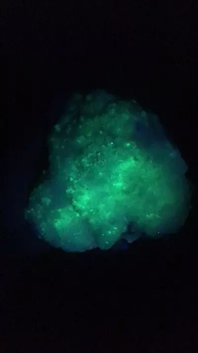 plant/UV selenite La Platosa mine Mexico B-0-thumbnail