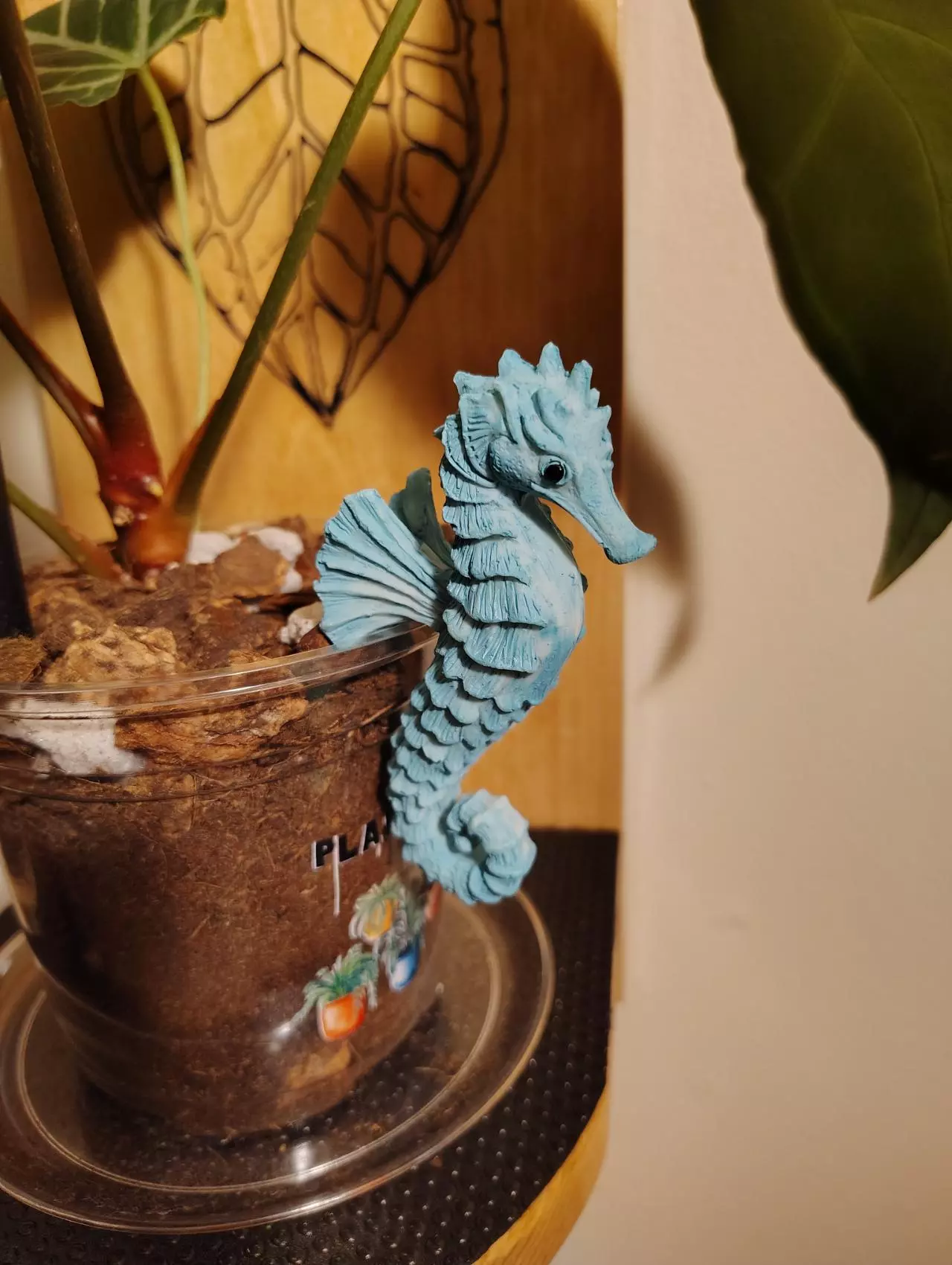 plant/Seahorse Pot Pal-0
