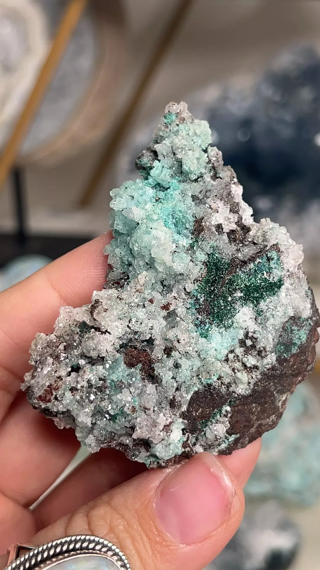 plant/Blue Aragonite W Malachite-0