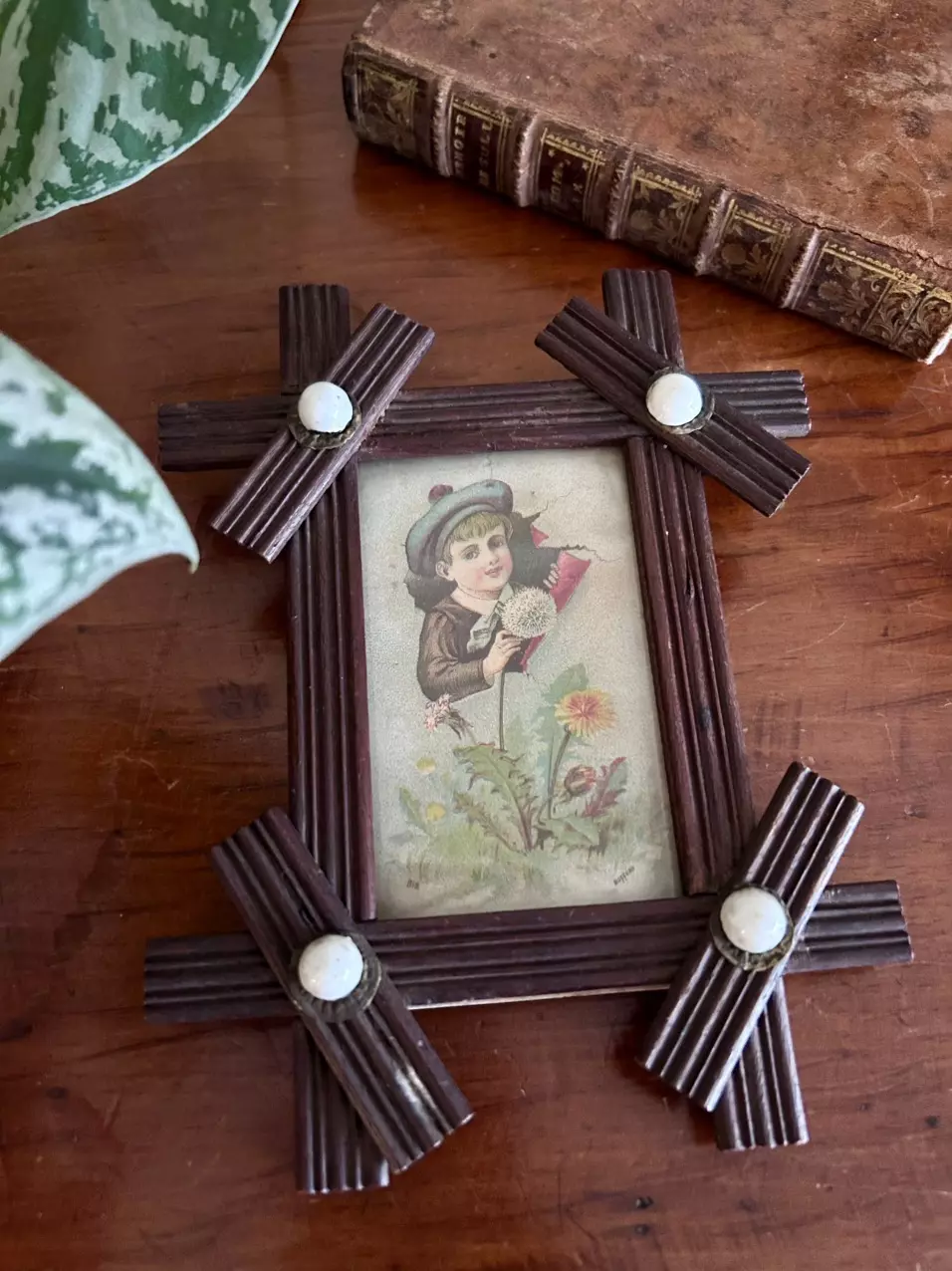 plant/Tramp Framed Print-1