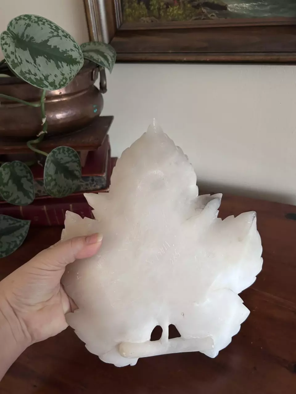 plant/Large Alabaster Leaf-4