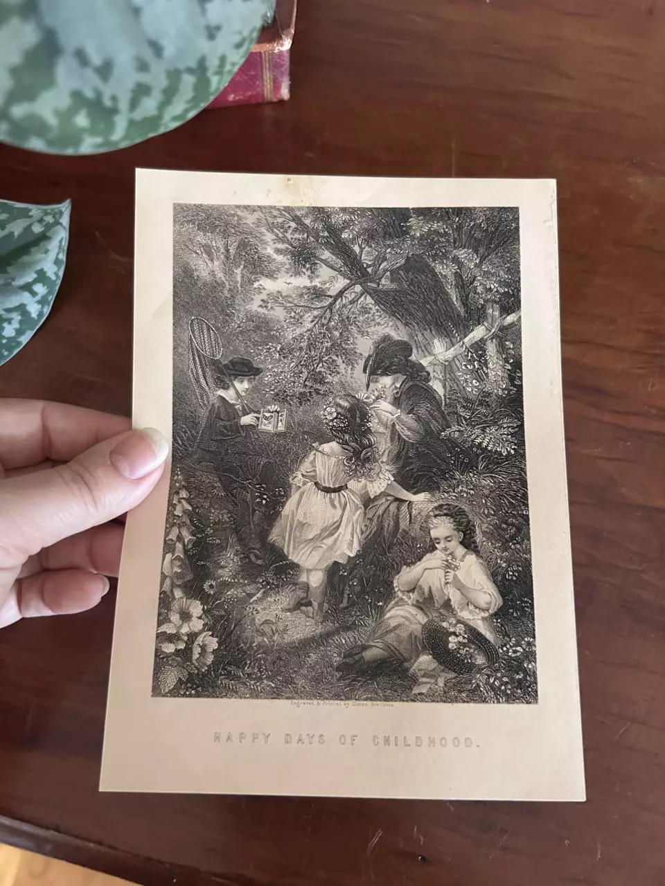 plant/Happy Days of Childhood-0