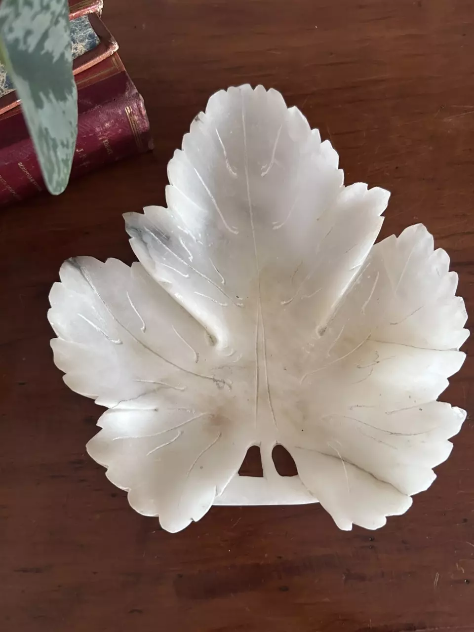 plant/Large Alabaster Leaf-0