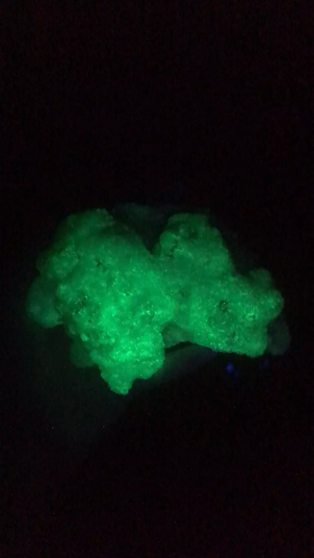 plant/UV selenite La platosa mine Mexico-0