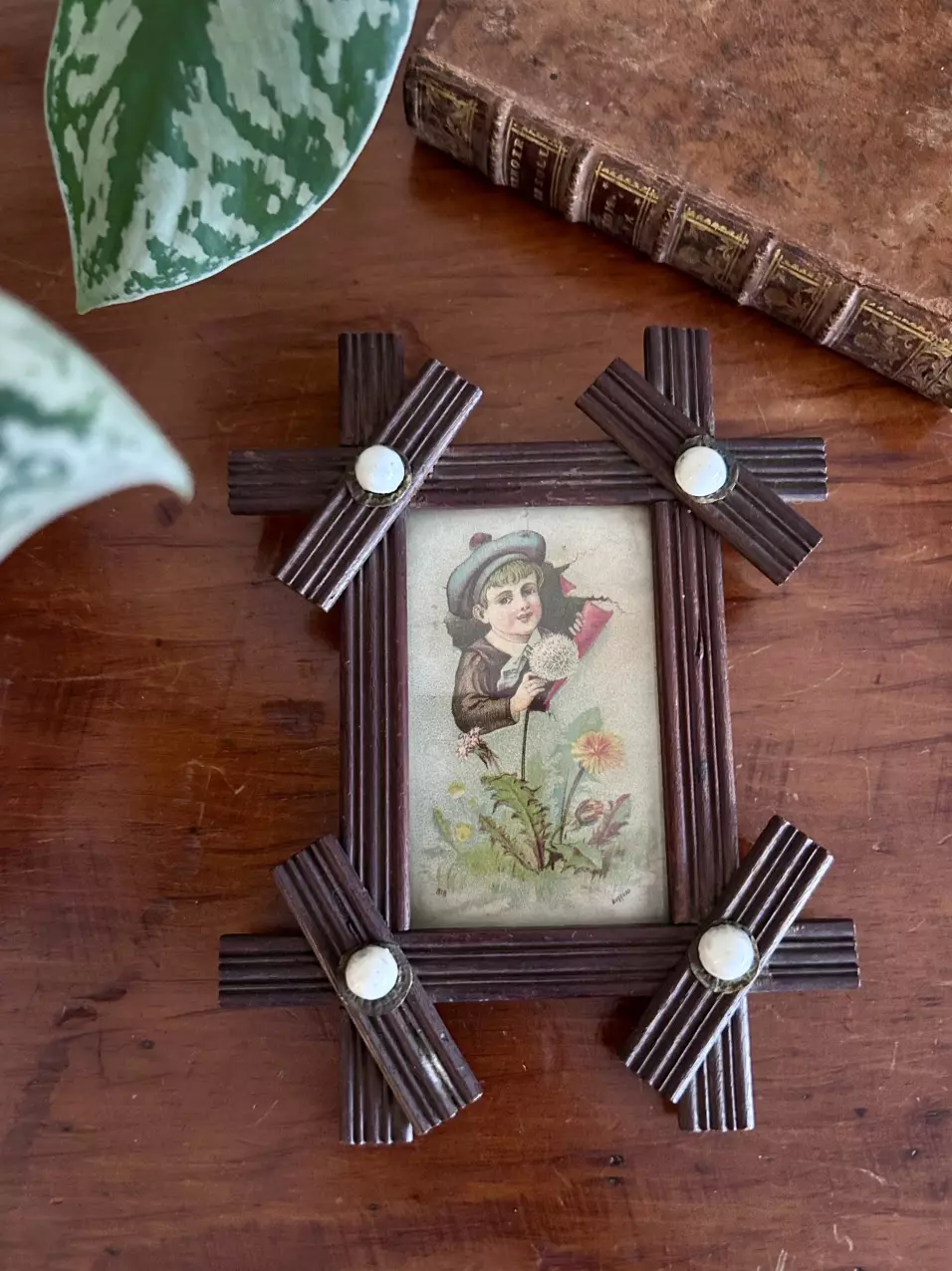 plant/Tramp Framed Print-0