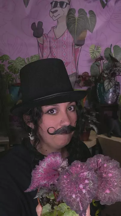 plant/NO PACKING SLIP PLEASE! Hey Man.. I don’t want to know!-0-thumbnail