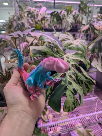 plant/3D printed Dickosaurus Rex - color may vary-0-thumbnail