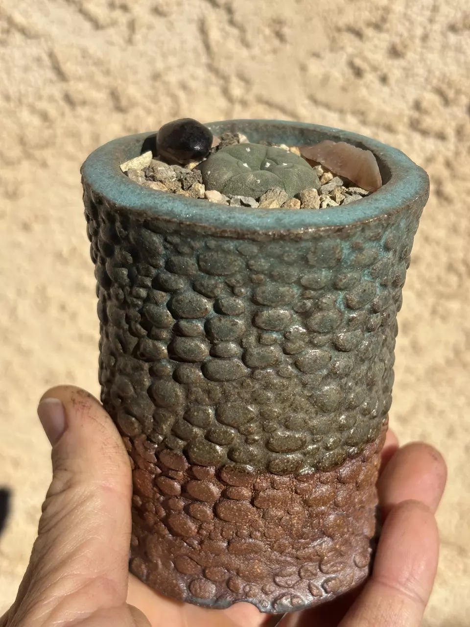 plant/lil banger pot combo-0