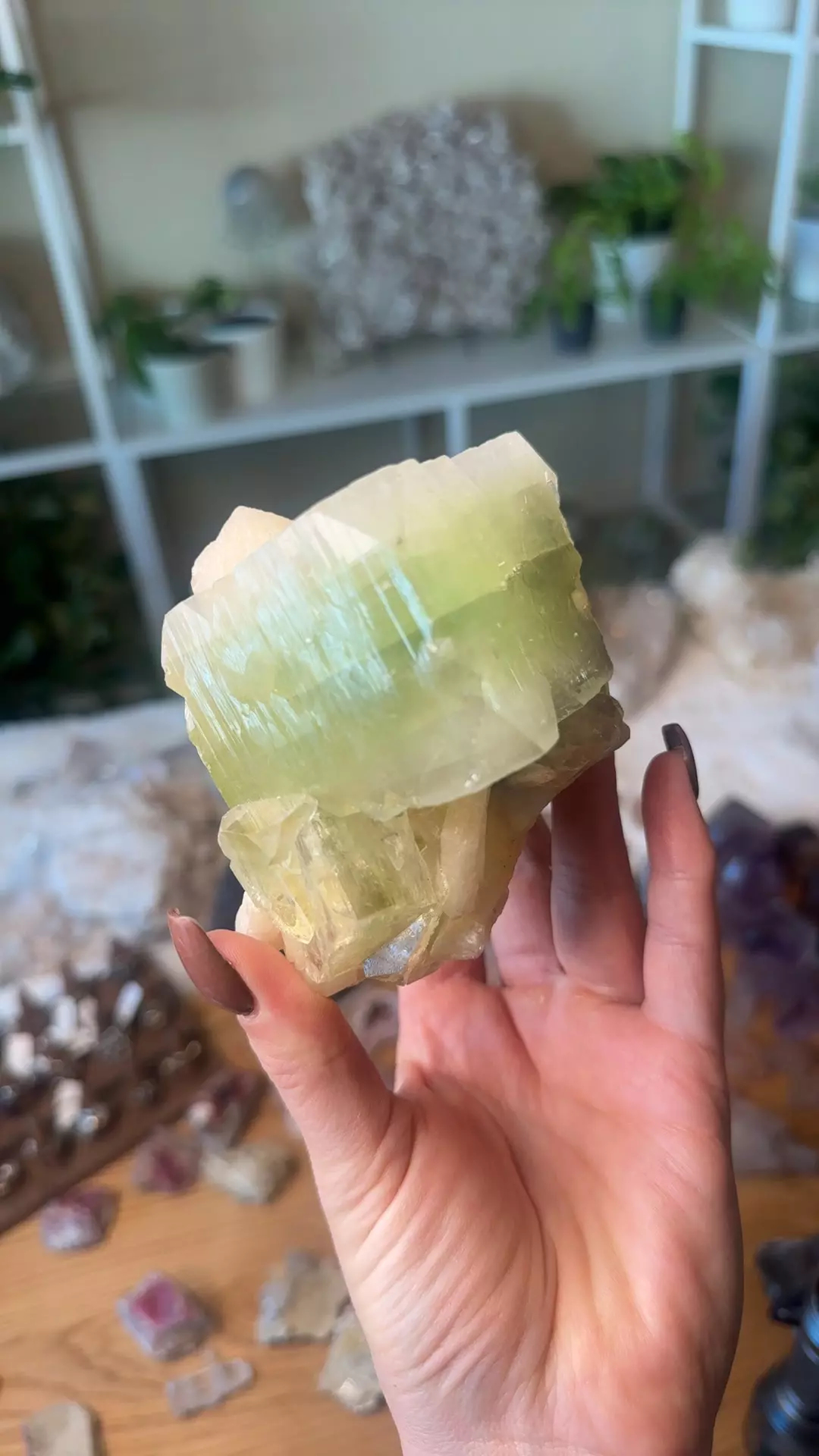 plant/green Apophyllite 220-0