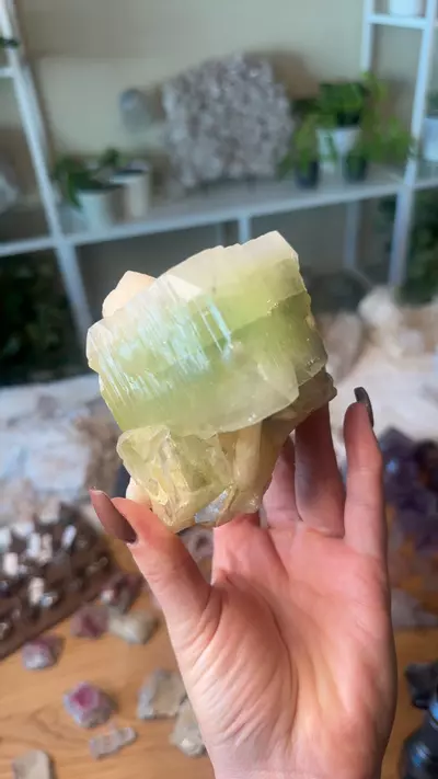 plant/green Apophyllite 220-0-thumbnail
