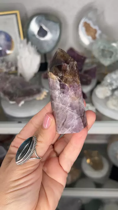 plant/Super 7 34-0-thumbnail