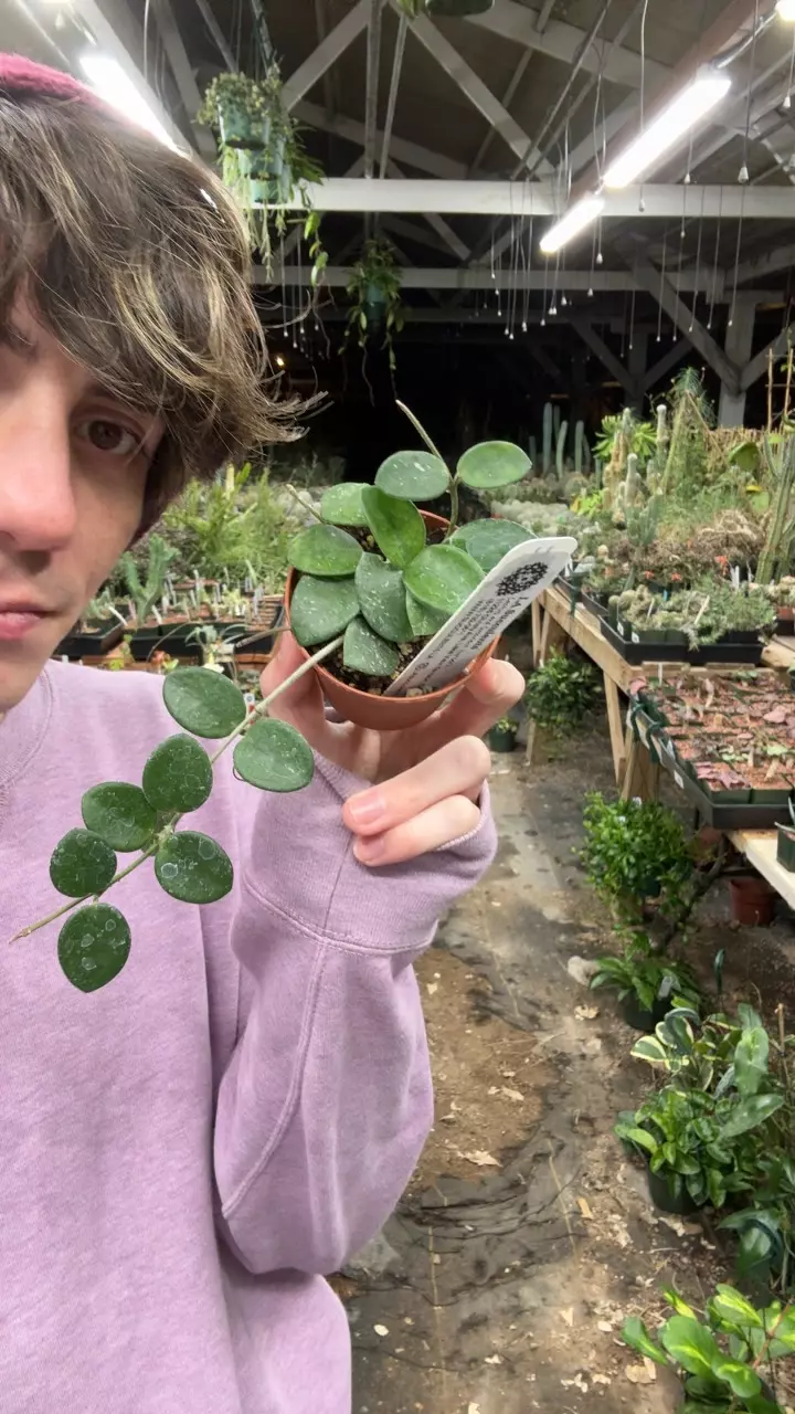 plant/H650 mathilde-0