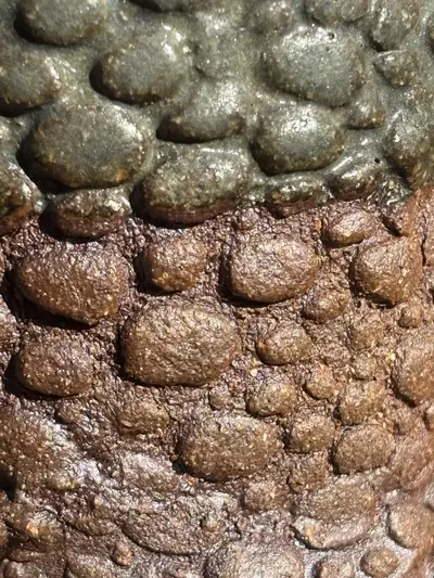 plant/lil banger pot combo-4-thumbnail