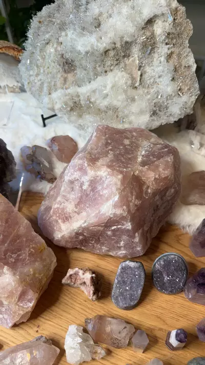 plant/rose Quartz xl 444-0-thumbnail